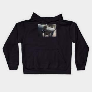 Badger Kids Hoodie